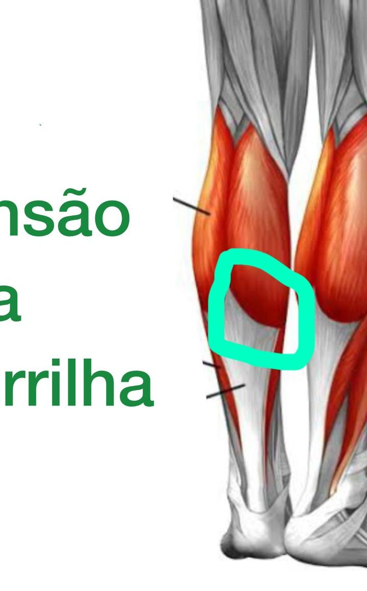 5 Fatos Essenciais Sobre a Panturrilha: Saúde, Função e Exercícios