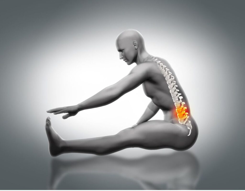 exercício para prevenir a lombalgia, alongamento. 